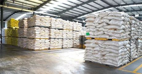 奮戰“開門紅” | 隨州正大 產銷兩旺干勁足，跑出新春“加速度”